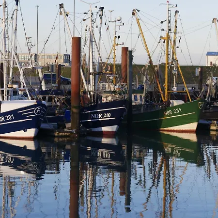 Strandhafer Ii - #125087 * Norddeich (Norden)